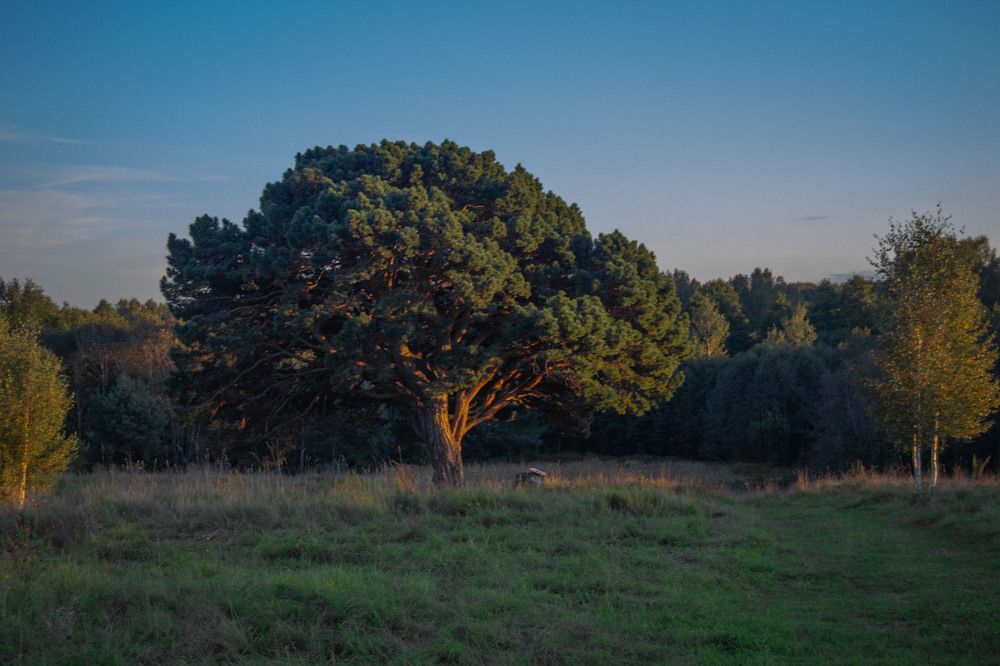 Фотография автора Геннадий Коробов