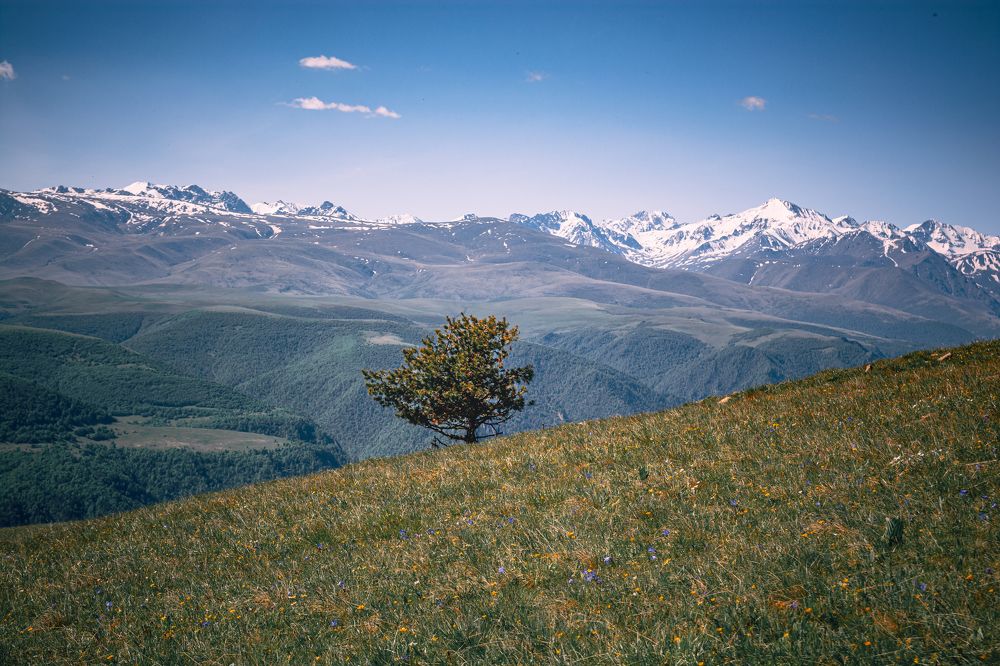 Photograph by Ольга Волкова