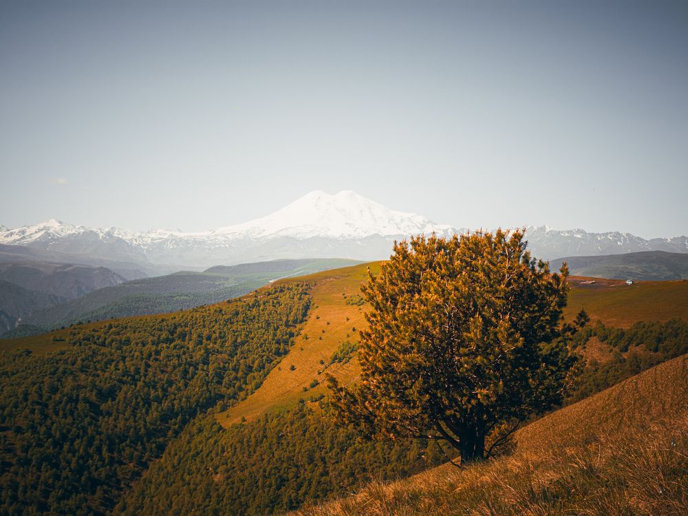 Photograph by Ольга Волкова