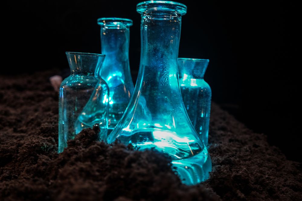 Photograph by Эльза Чанба