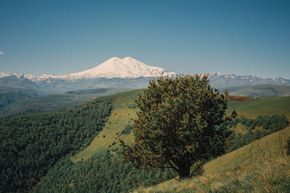 Photograph by Ольга Волкова