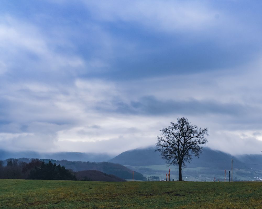 Photograph by Irina Tischer