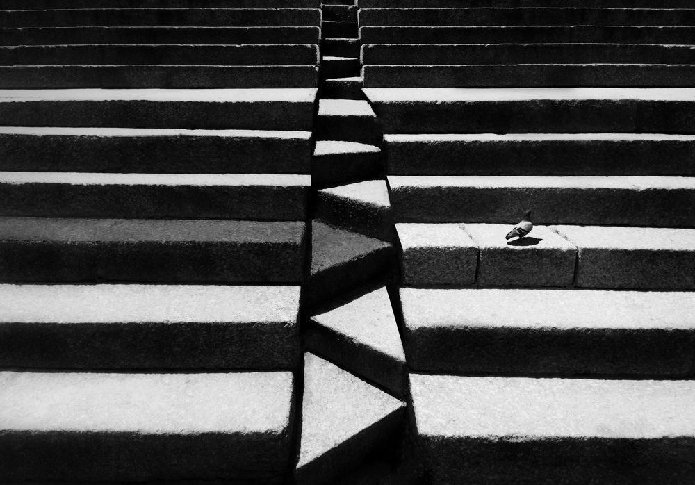 Photograph by Artin darvishi