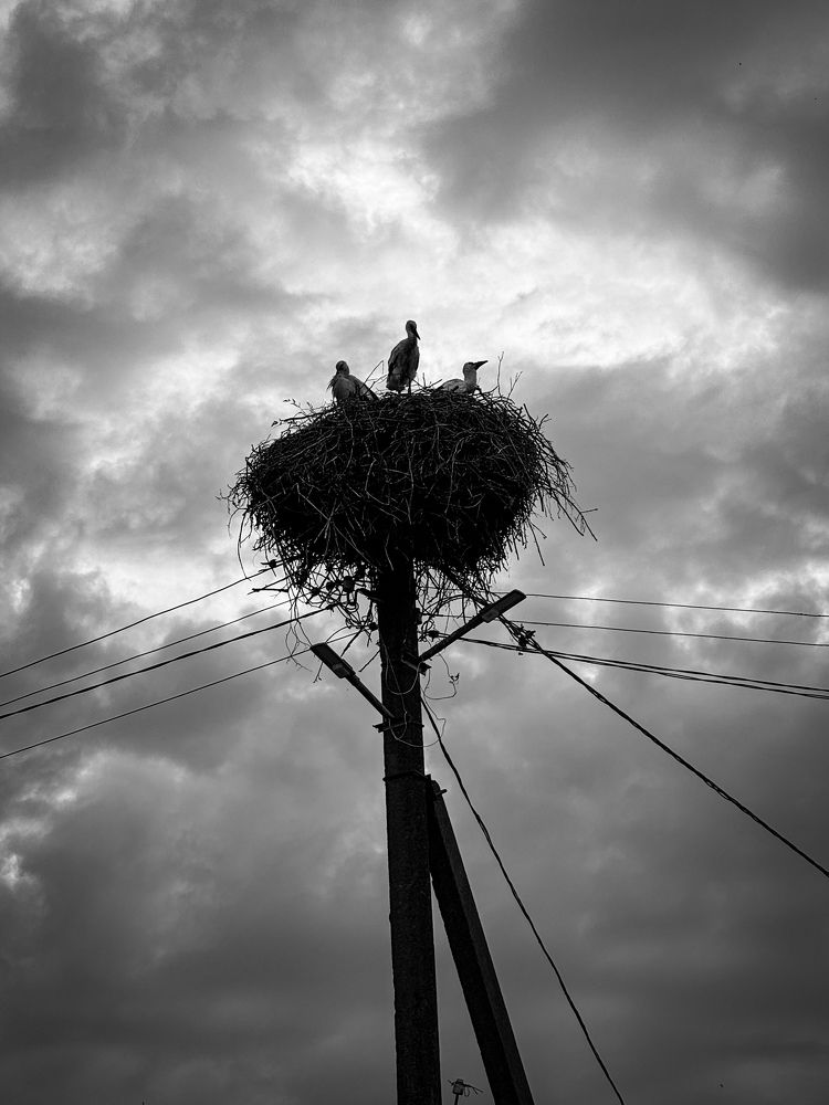 Фотография автора Татьяна Аникина