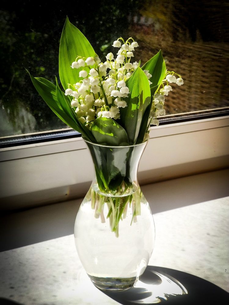 Маленький дачный букетик ландышей