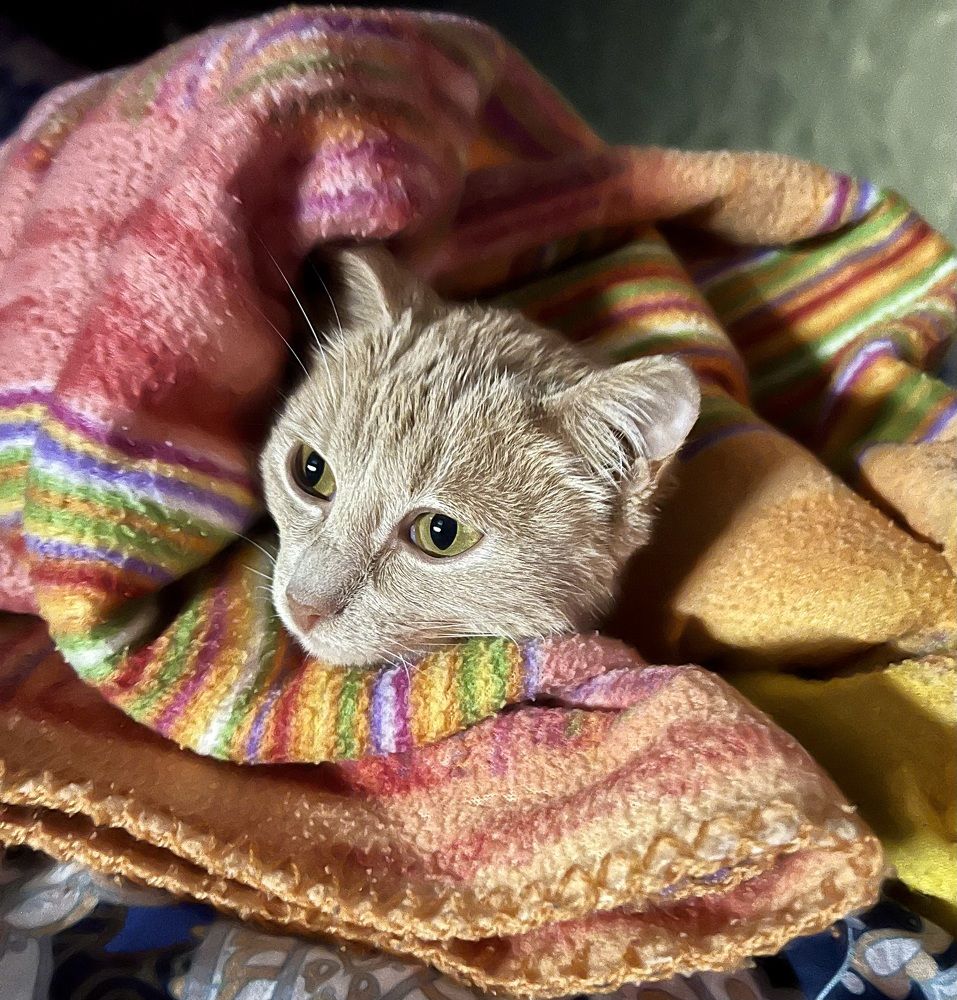 Photograph by Ирина