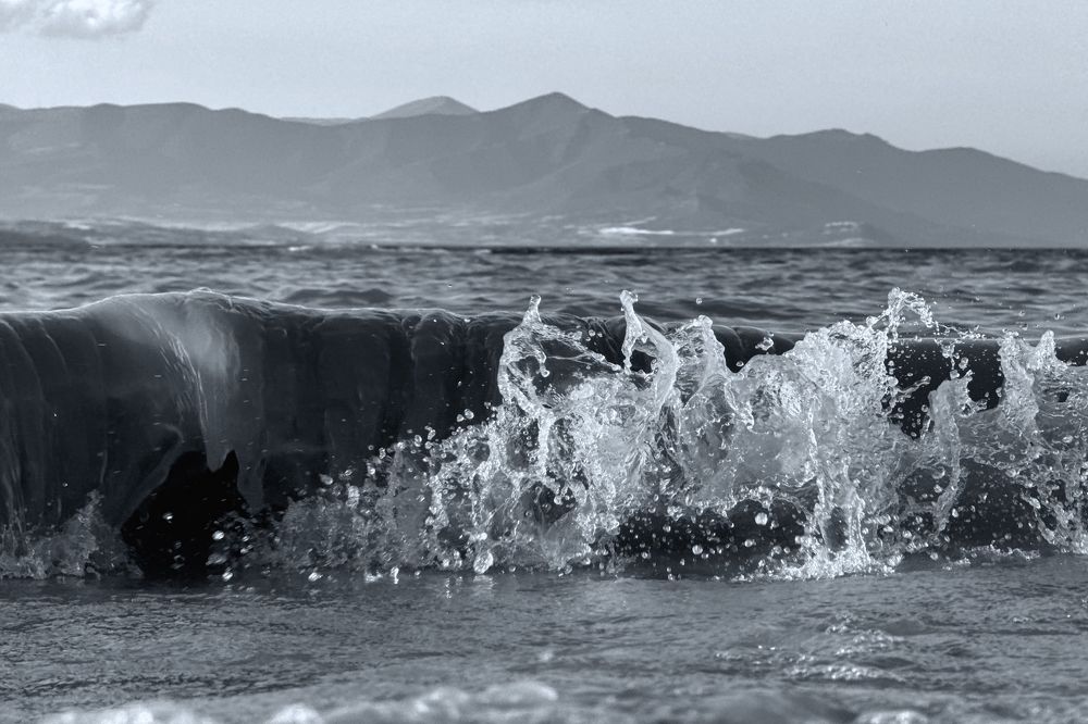 Photograph by Dimitris Vavliaras