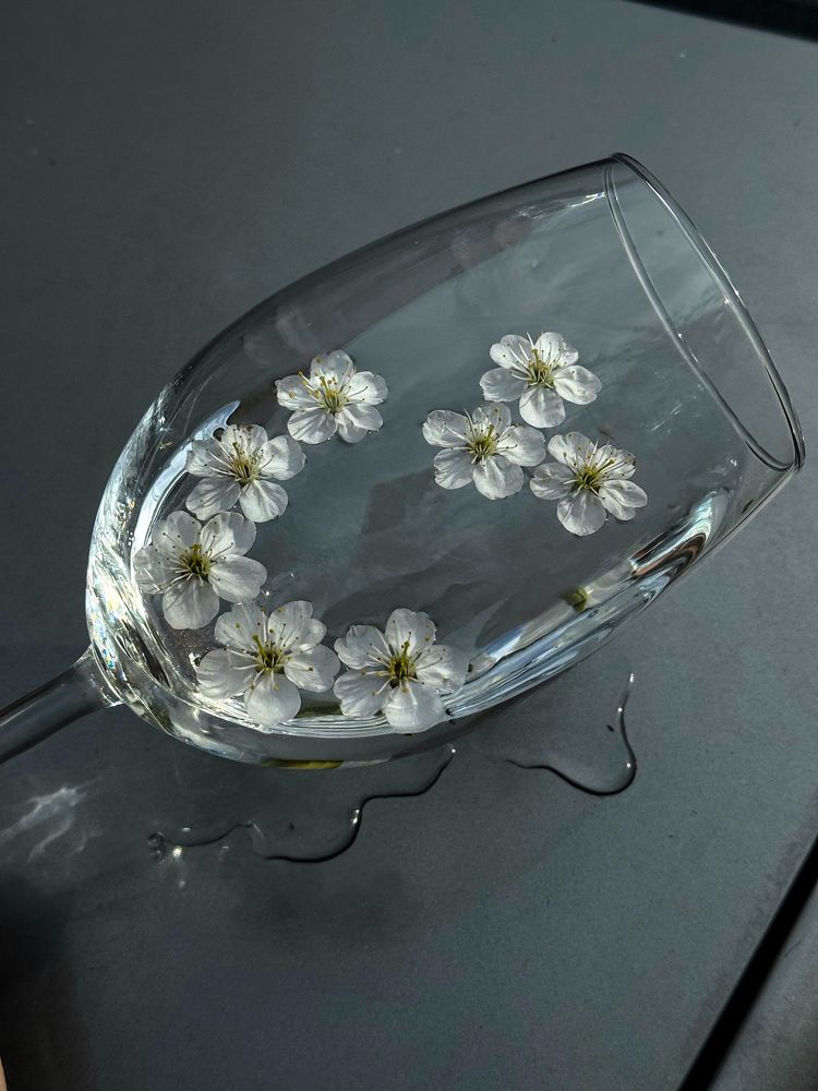 Photograph by Татьяна Зенина