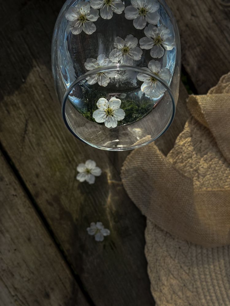 Photograph by Татьяна Зенина