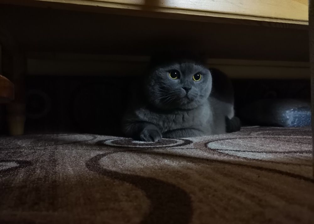 Photograph by Дмитрий Кочетков