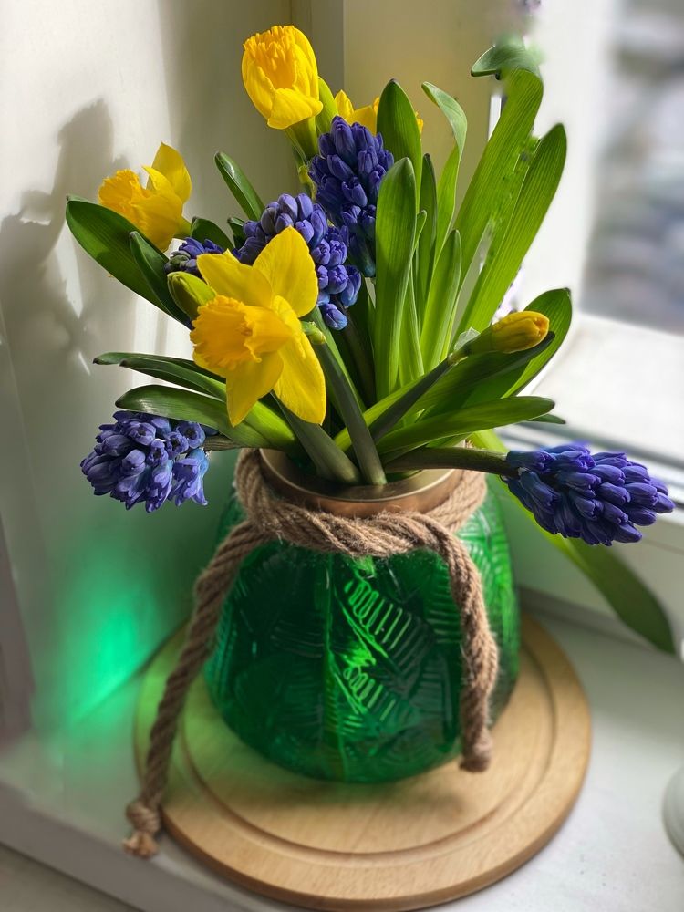 Фотография автора Ольга Горюнова