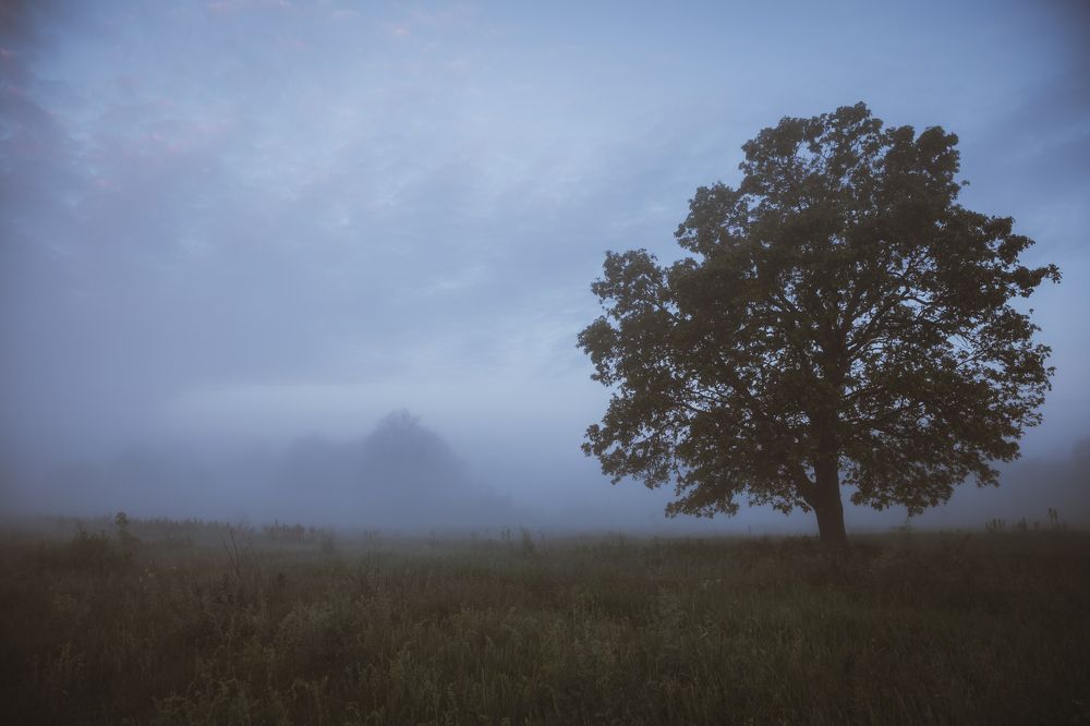 Photograph by Саша Корнюшин