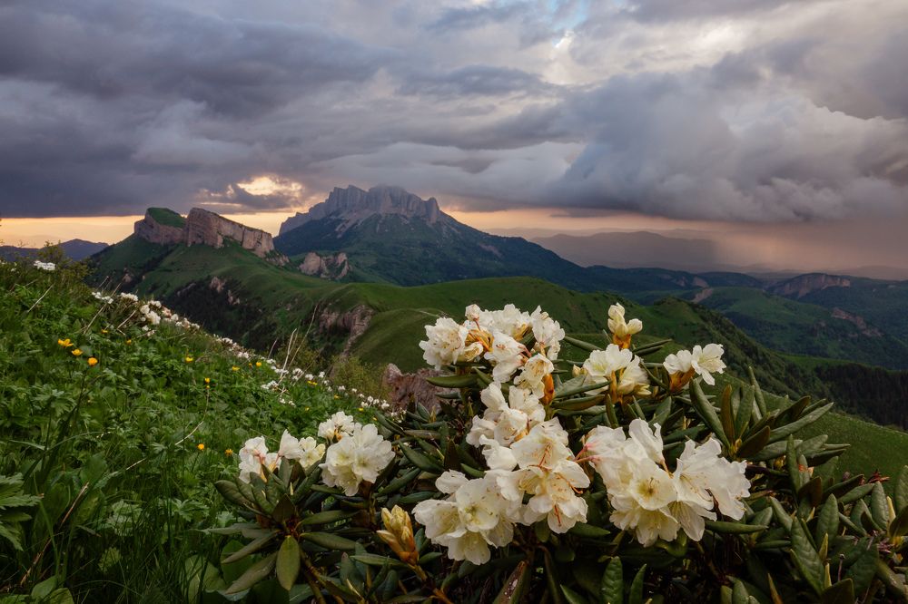 Photograph by Шишкалов Константин