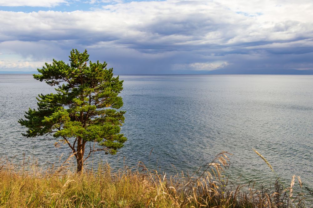 Photograph by Evgeniia Iakimenko