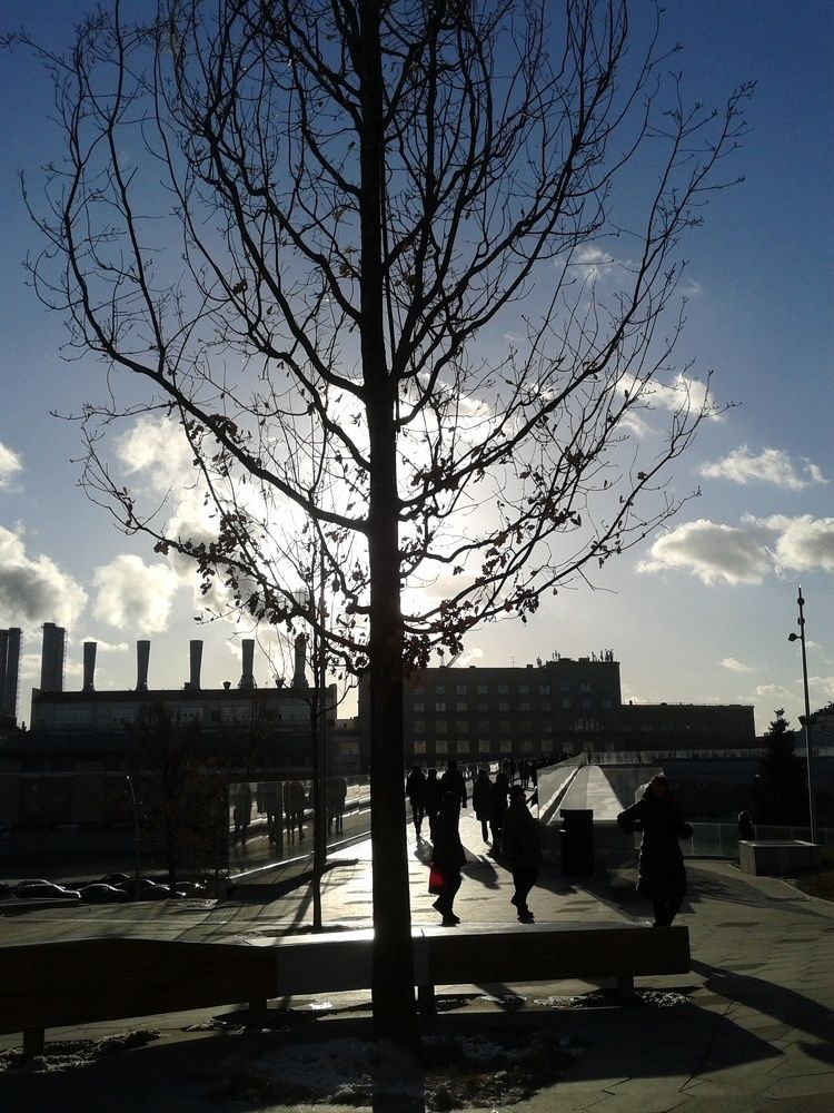 Photograph by Елена Смирнова