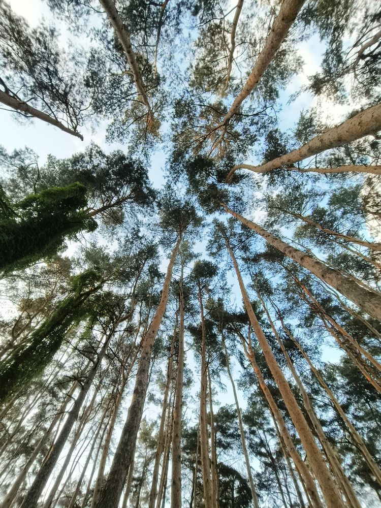 Photograph by Halina Basyanok