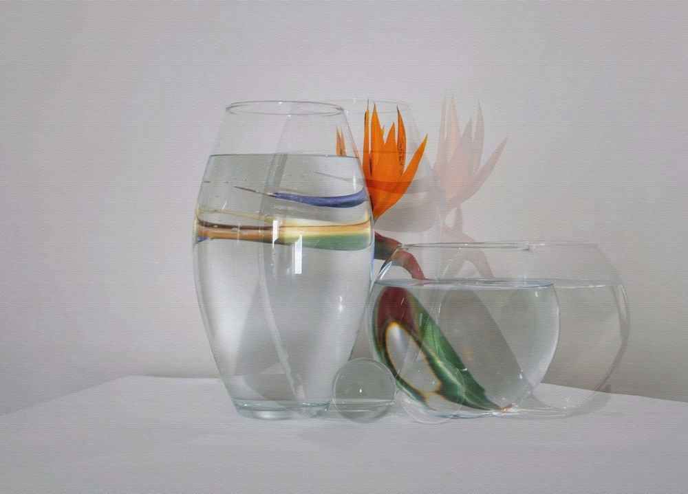 Photograph by Pantaleo Musarò