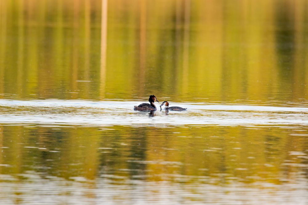 Photograph by Александр Козин
