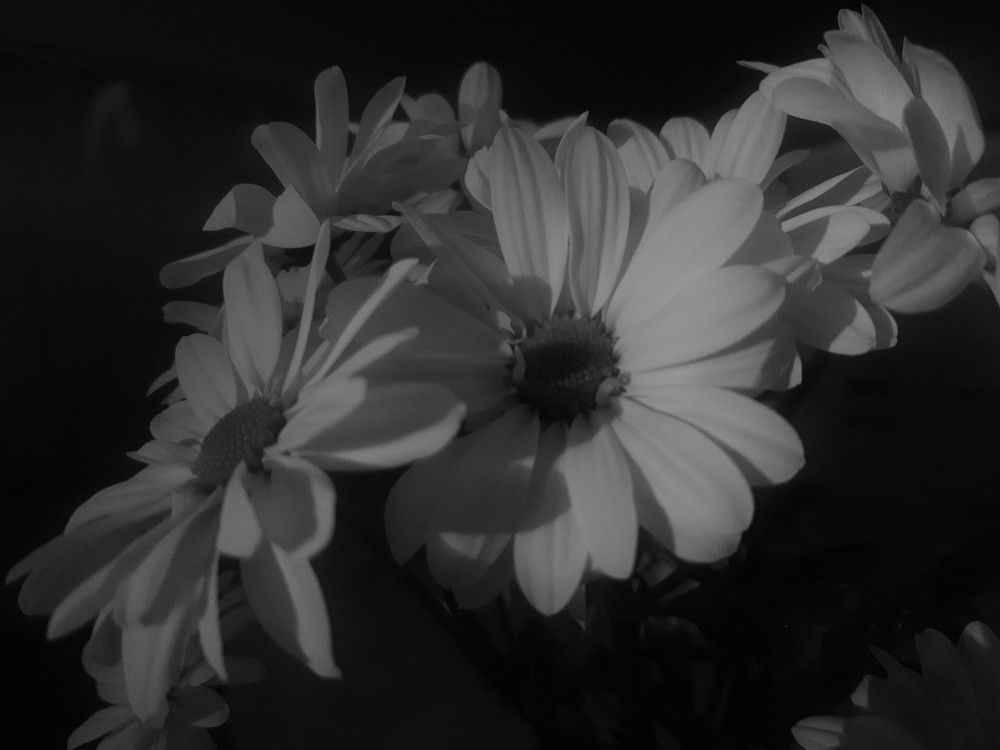 Photograph by Simona Ariton