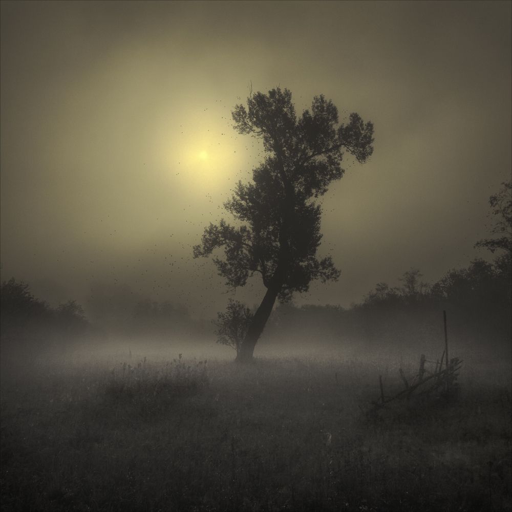 Photograph by Илья Бисеров