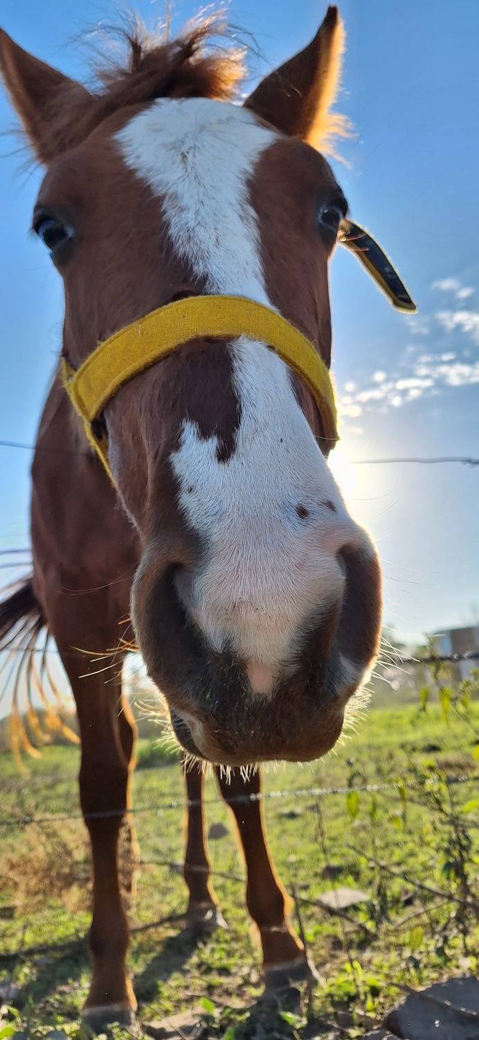 La paz en la tarde de un día.