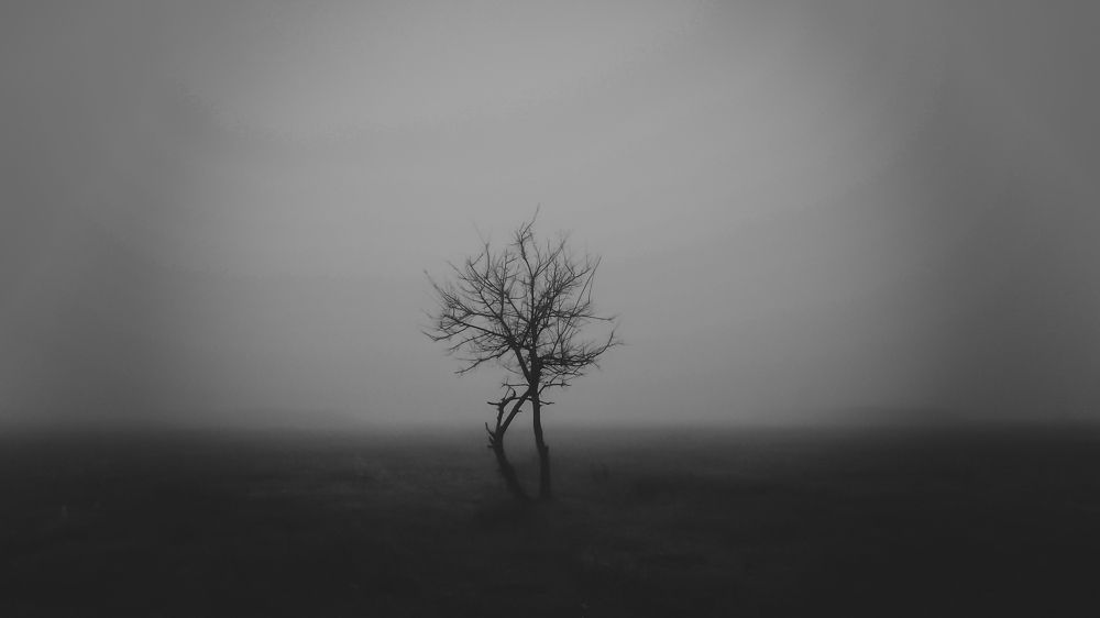 One is not a soldier in the battlefield