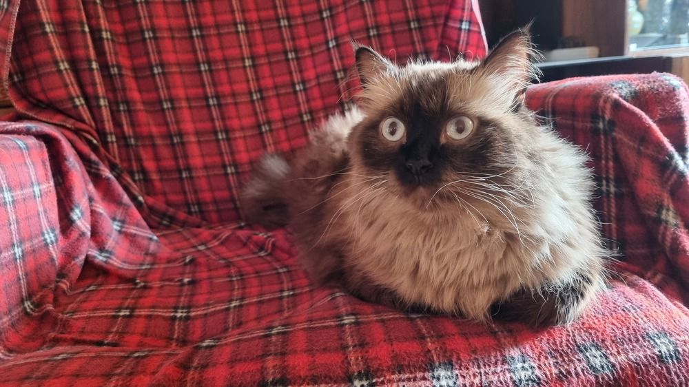 Фотография автора Марина Карасева
