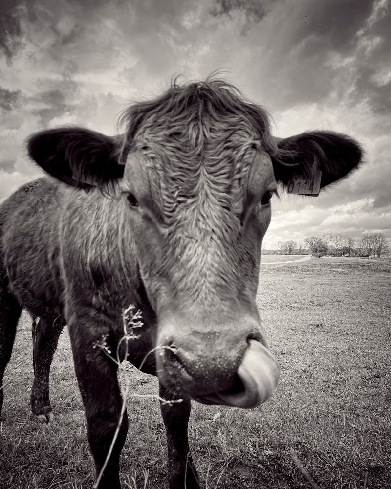 Photograph by Юлия Зырина