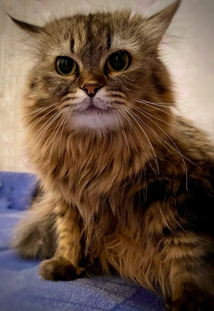 Photograph by ЛИЛИЯ БОБКО