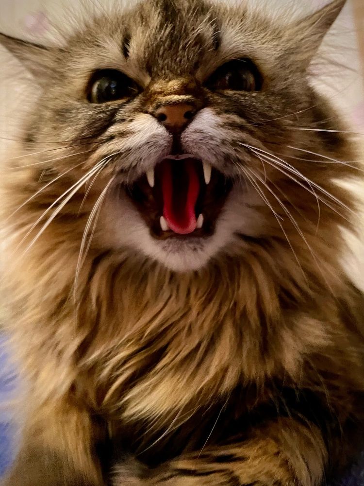 Photograph by ЛИЛИЯ БОБКО