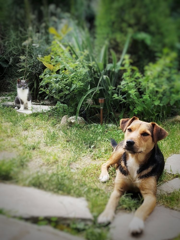 Фотография автора JELENA VASIC