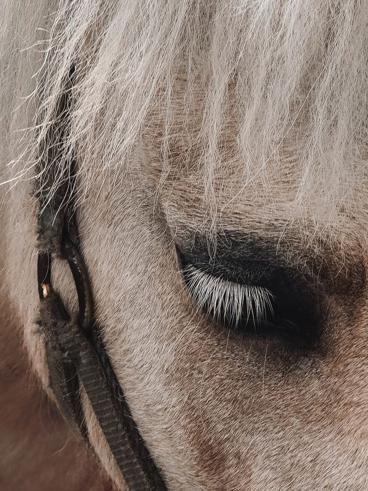 Photograph by Диана Бадеева