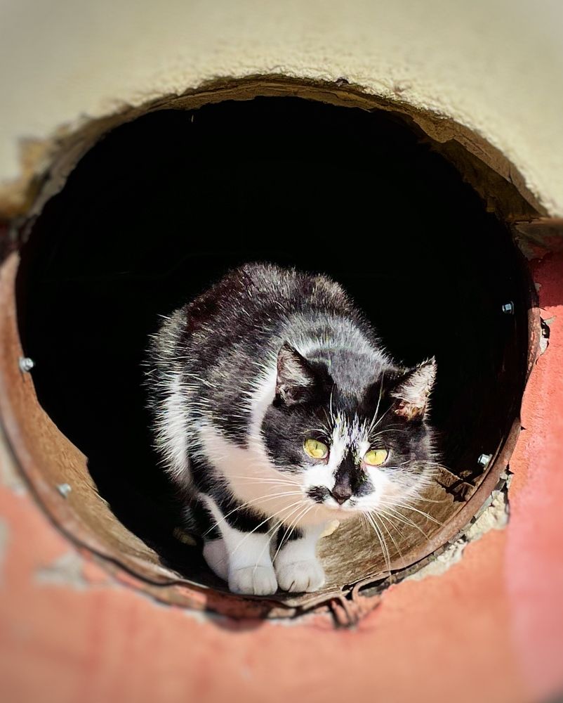 Photograph by ЛИЛИЯ БОБКО