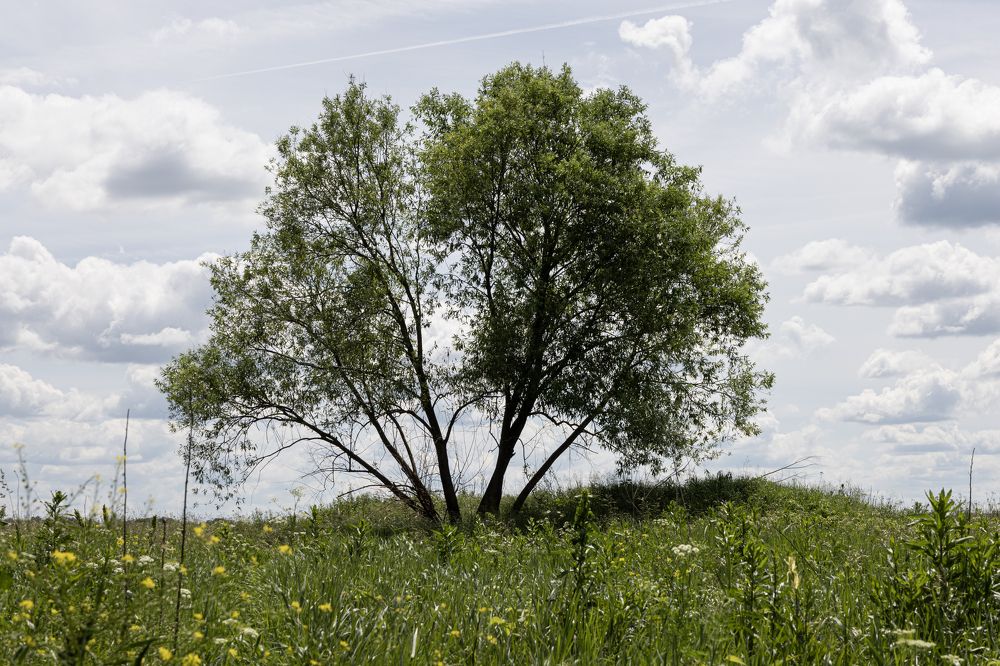 Photograph by Беликов Михаил