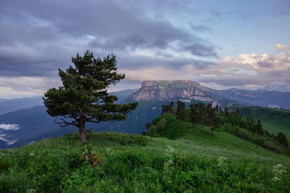 Photograph by Шишкалов Константин