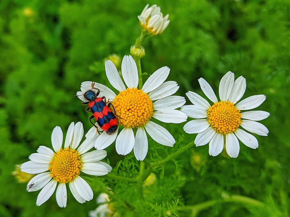 Photograph by Мария Широких