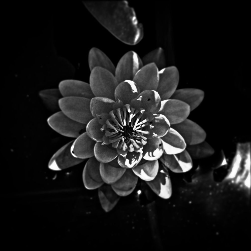 Photograph by Giovanni Gondim de Castro