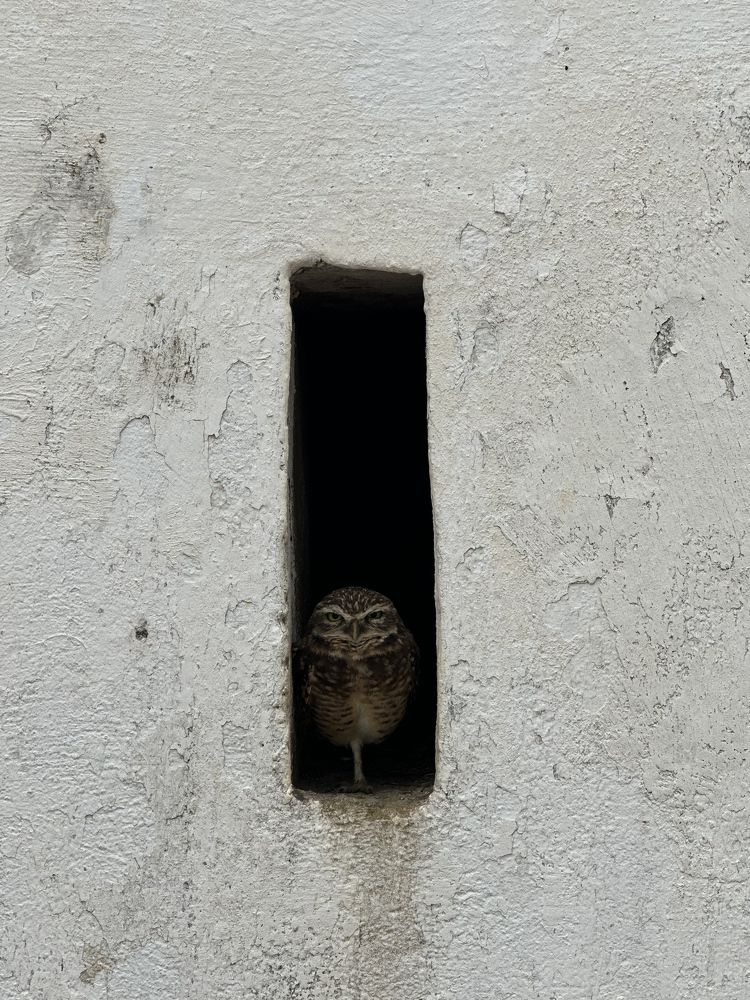 Photograph by Giovanni Gondim de Castro