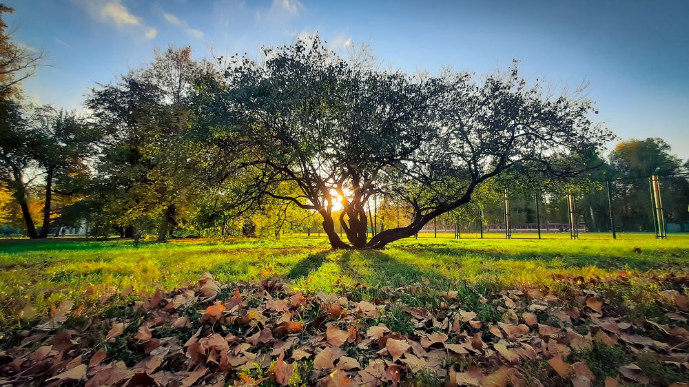 Photograph by (AlexOldmanPhoto) Алексей Стариков