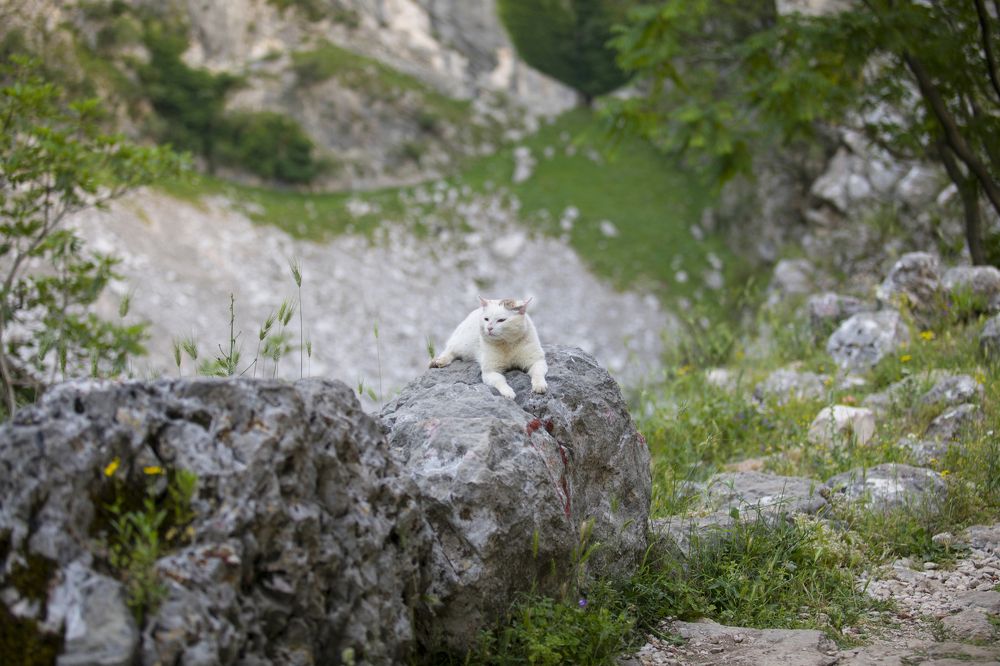 Photograph by Nataliia Nedelina