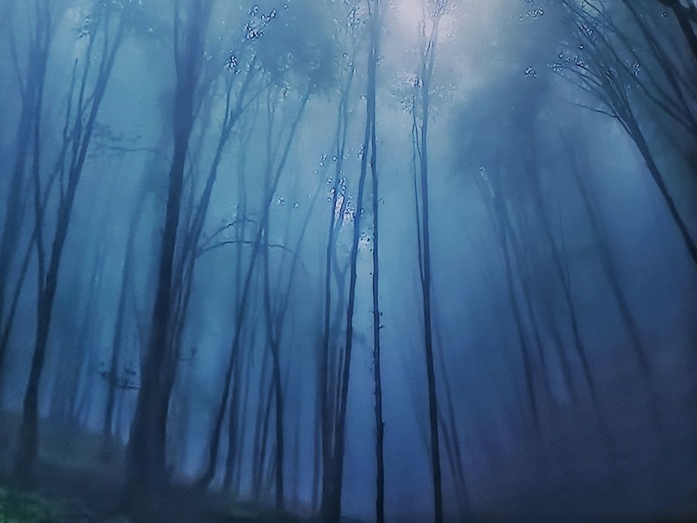 Photograph by Irina Luidinshina