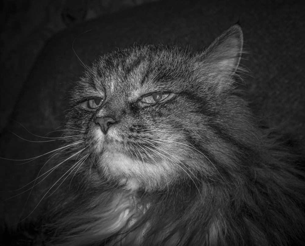 Photograph by Irina Luidinshina