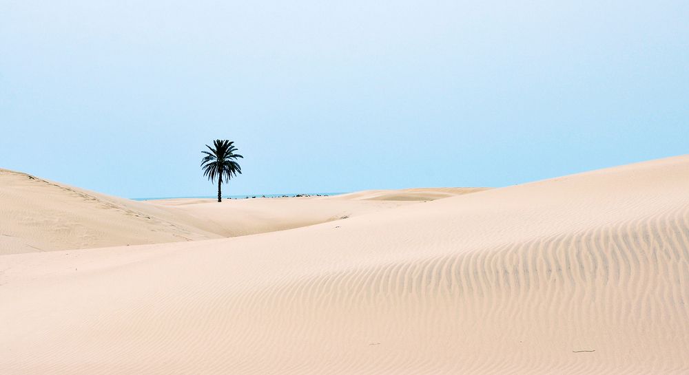 Фотография автора Erfan Rabiei dastjerdi