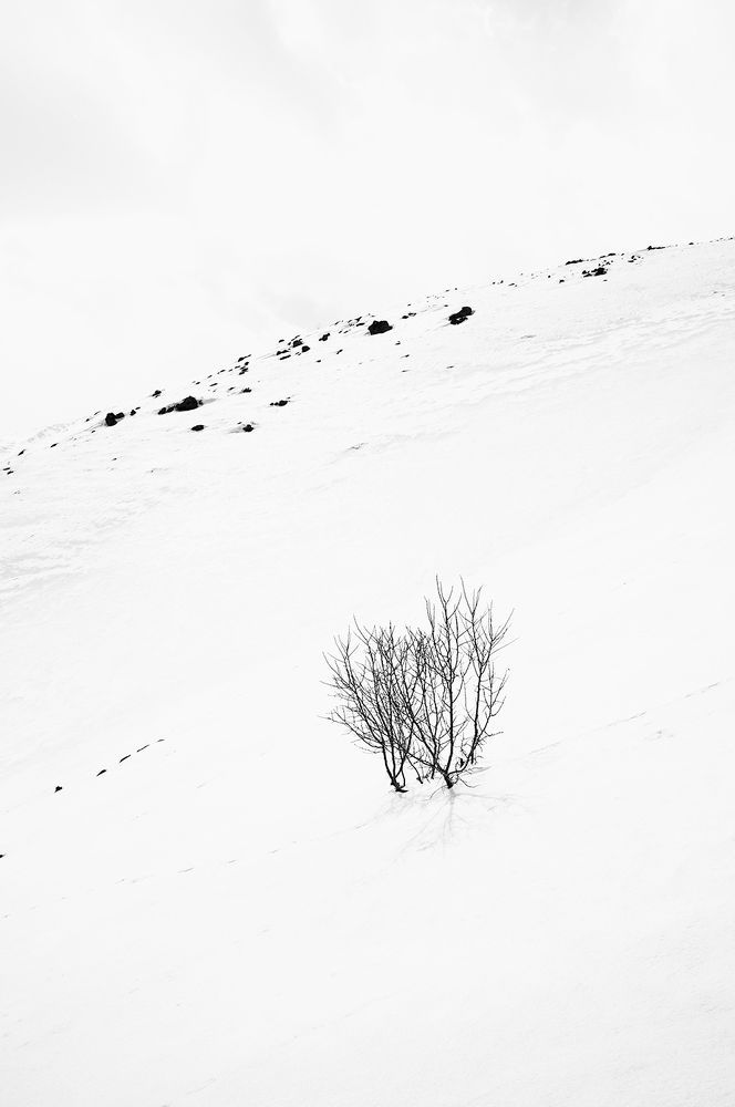 Фотография автора Erfan Rabiei dastjerdi