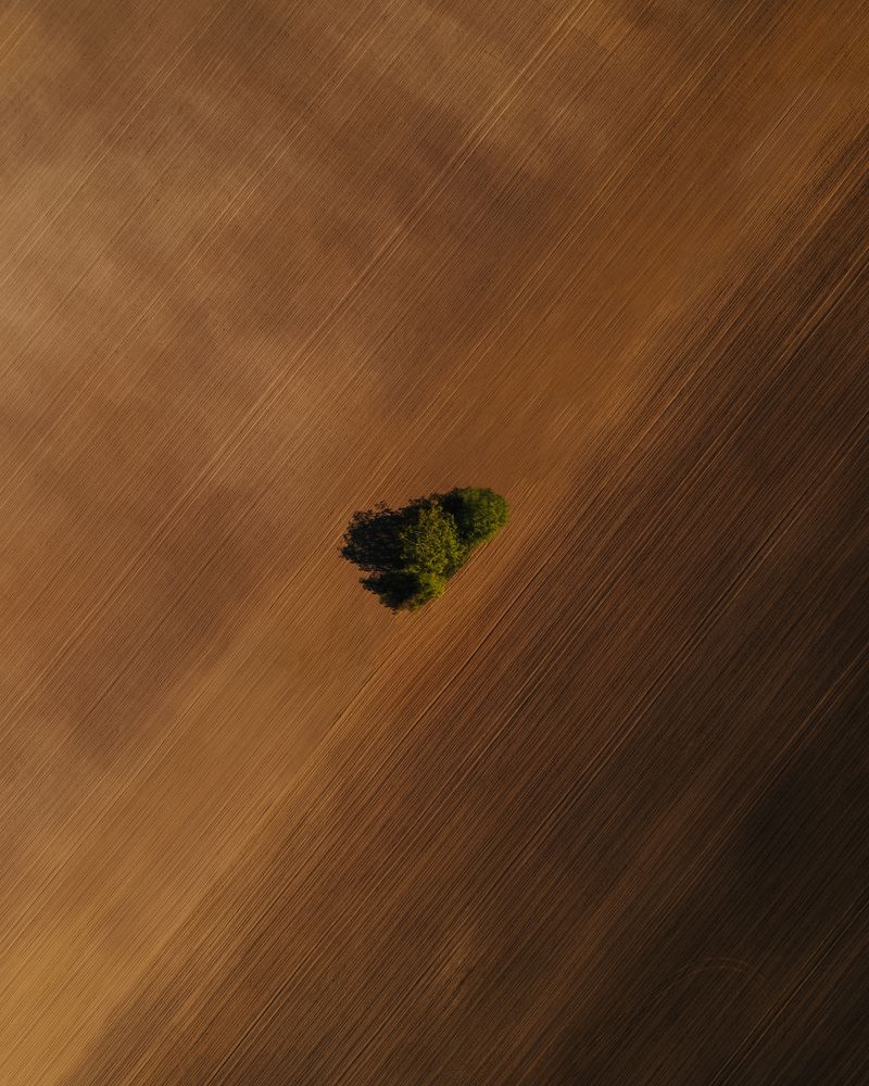 Photograph by Евгений Краснов