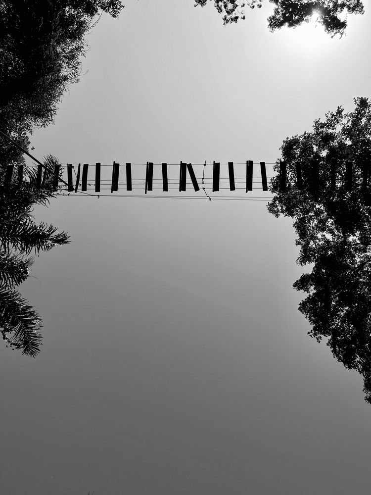 Фотография автора Eric Odonti