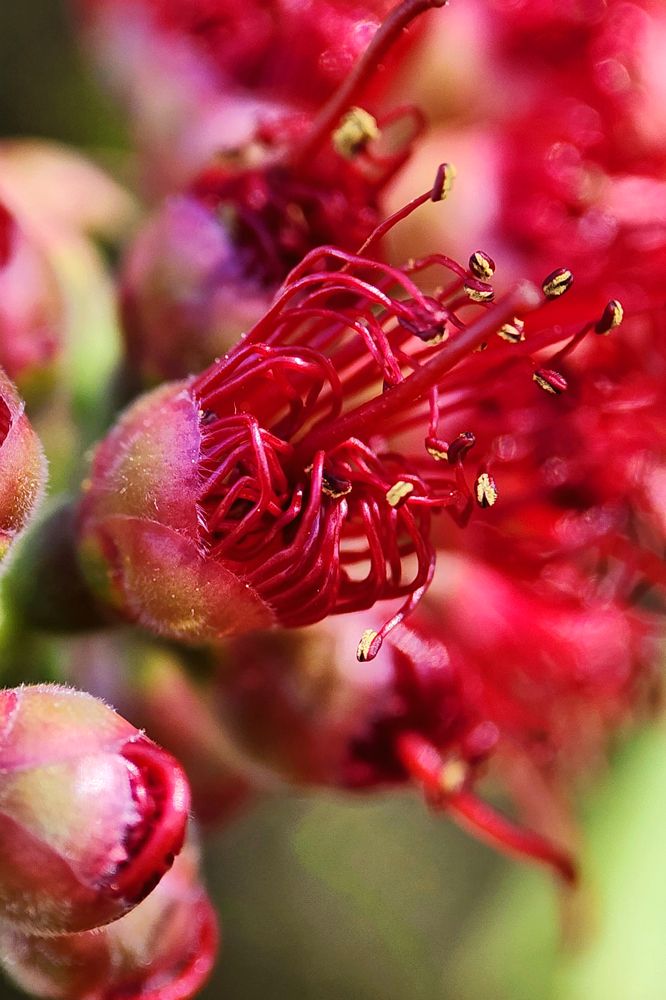 Фотография автора Jeff Cooley