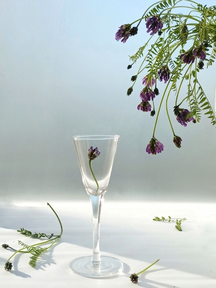 Фотография автора Татьяна Шахова