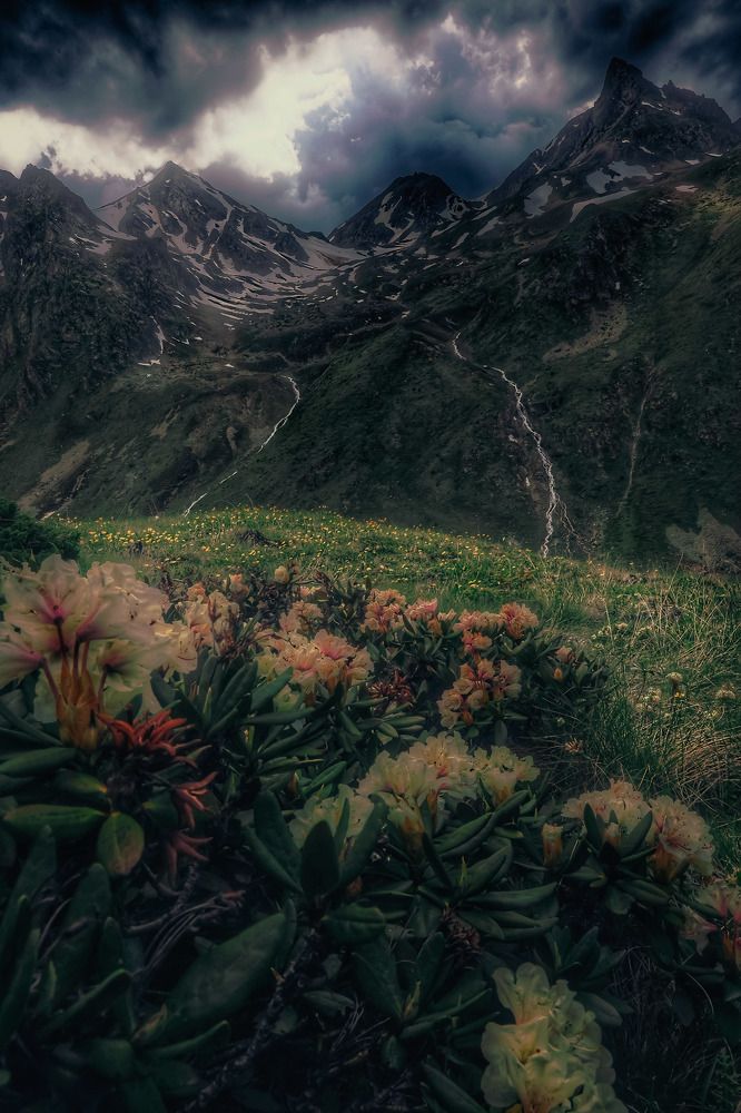 Photograph by Владимир Кульбит