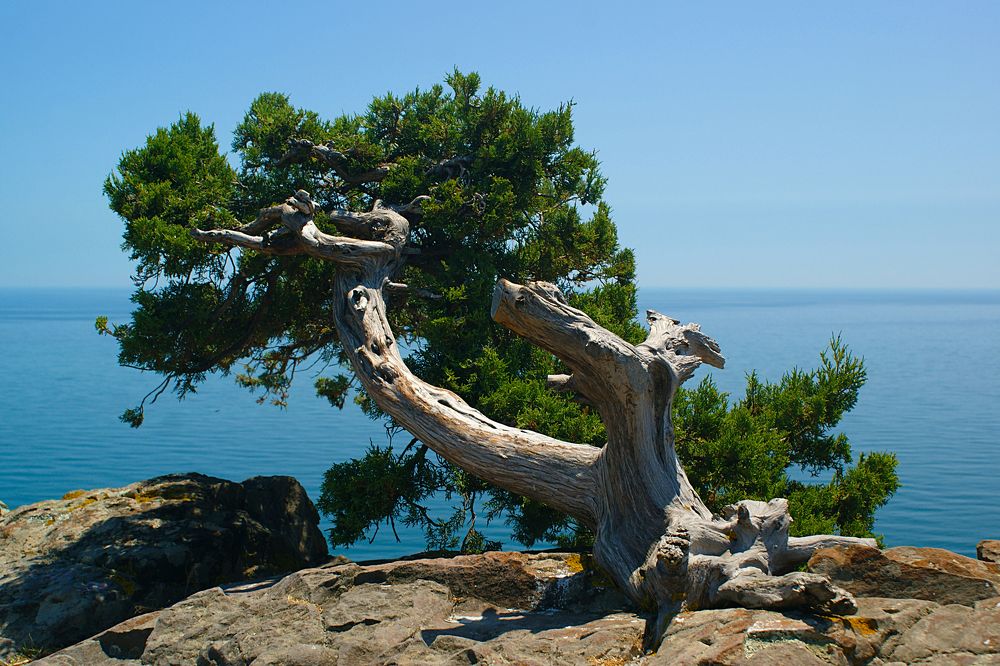 Photograph by Олег Толстунов